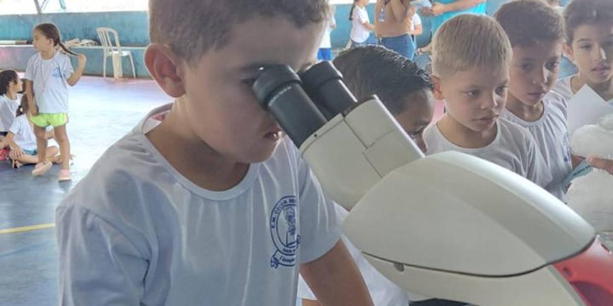 WhatsApp Image 2026-04-02 at 09.50.56 (3).jpeg